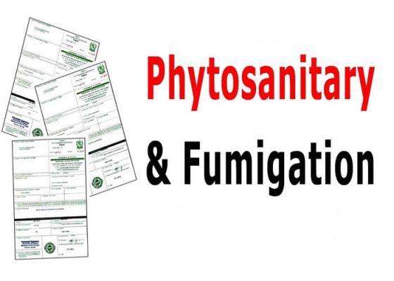 Fumigation và Phytosanitary là gì