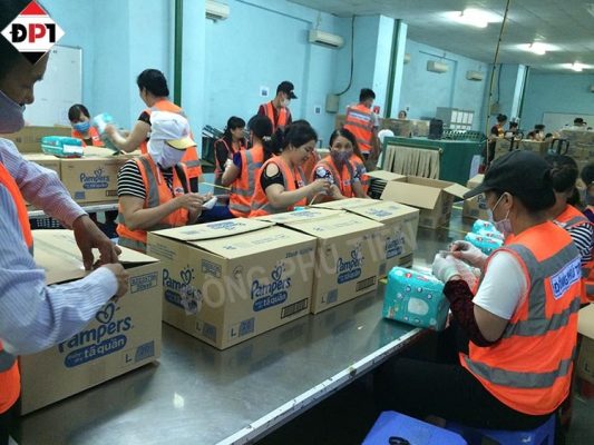 dich vu cung ung lao dong