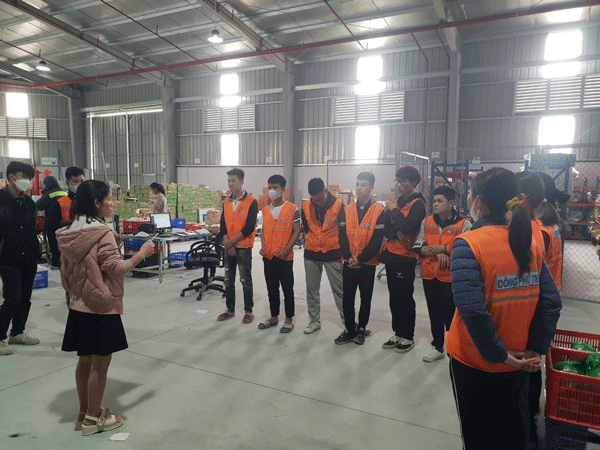 bang gia cho thue lao dong thoi vu cua dong phu tien